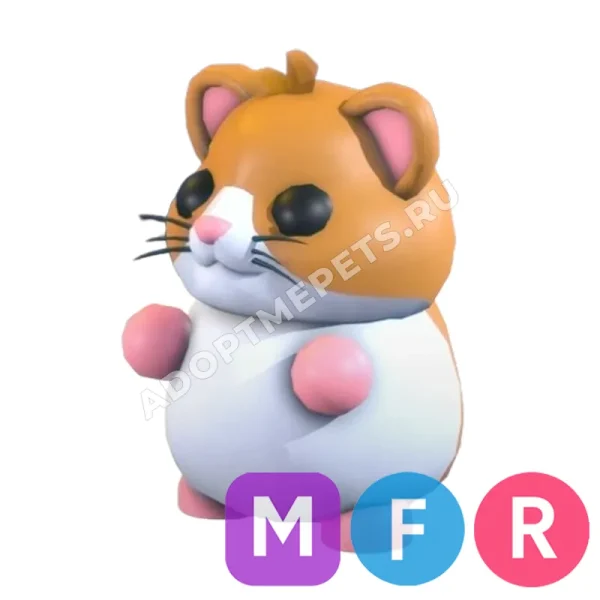 Hamster