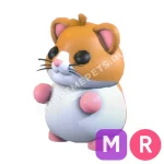 Hamster