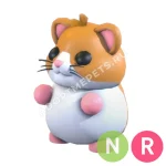Hamster