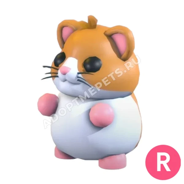 Hamster
