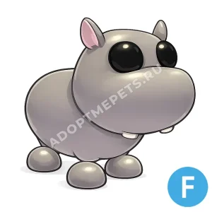 Hippo