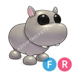 Hippo