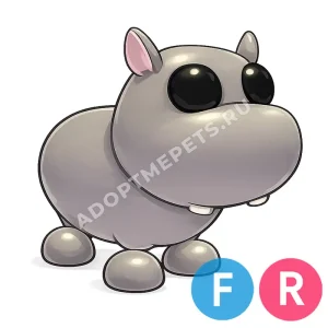 Hippo