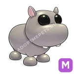 Hippo