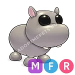 Hippo