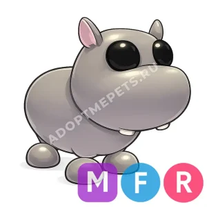 Hippo