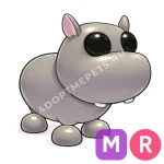 Hippo