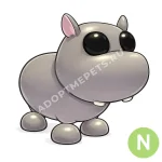Hippo