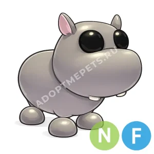 Hippo