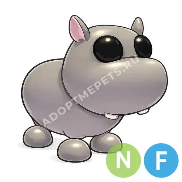 Hippo