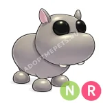 Hippo