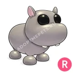 Hippo