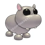 Hippo