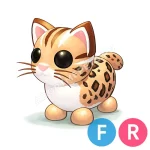 Leopard Cat