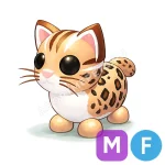 Leopard Cat
