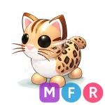 Leopard Cat