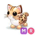 Leopard Cat