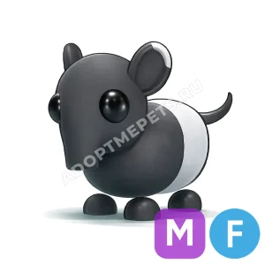 Malayan Tapir