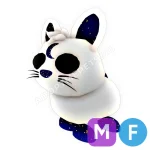Moon Rabbit
