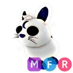 Moon Rabbit