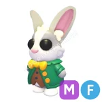 Mr. Whiskerpips