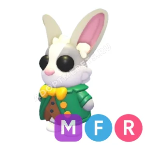 Mr. Whiskerpips