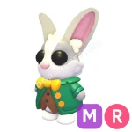 Mr. Whiskerpips