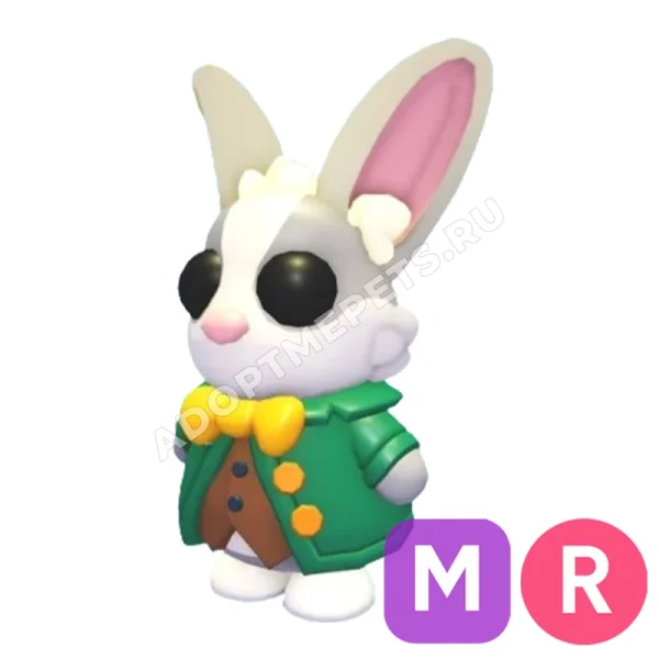 Mr. Whiskerpips