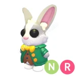 Mr. Whiskerpips