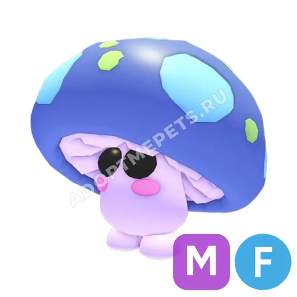 Mushroom Friend
