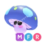 Mushroom Friend