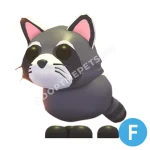 Raccoon