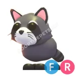 Raccoon