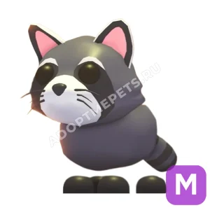 Raccoon
