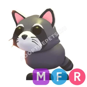 Raccoon