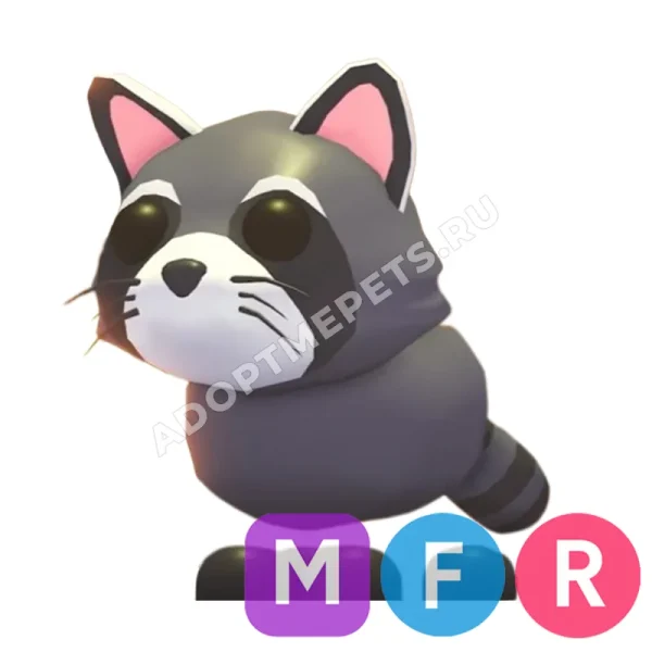 Raccoon