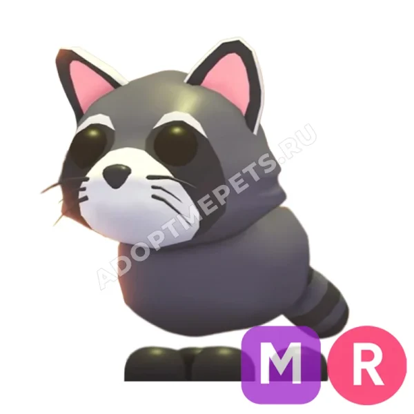 Raccoon
