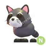 Raccoon