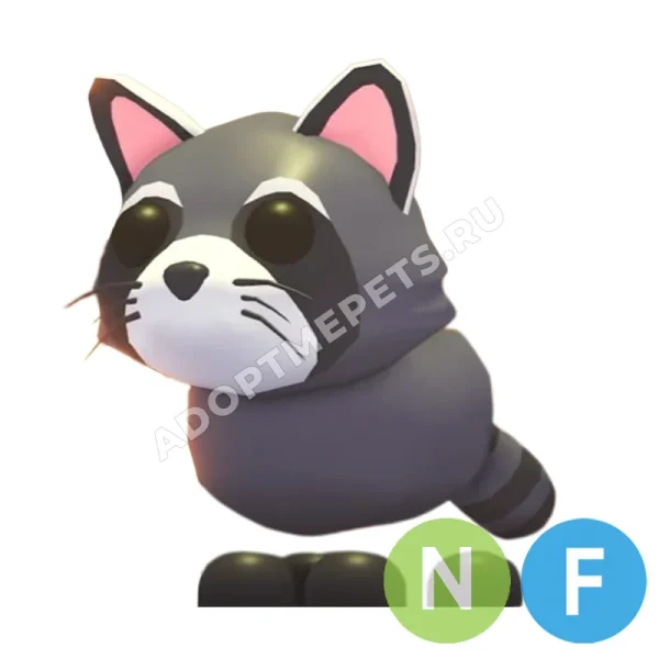 Raccoon