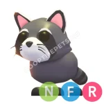 Raccoon