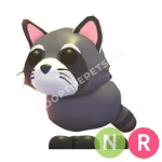 Raccoon