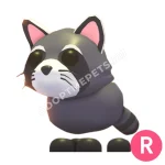 Raccoon