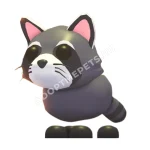 Raccoon
