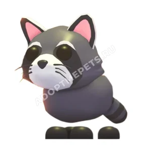 Raccoon