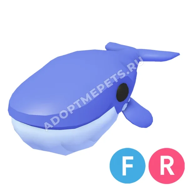 Blue Whale