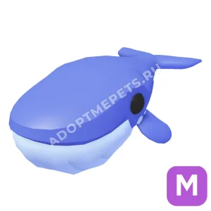 Blue Whale