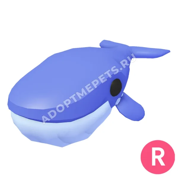Blue Whale