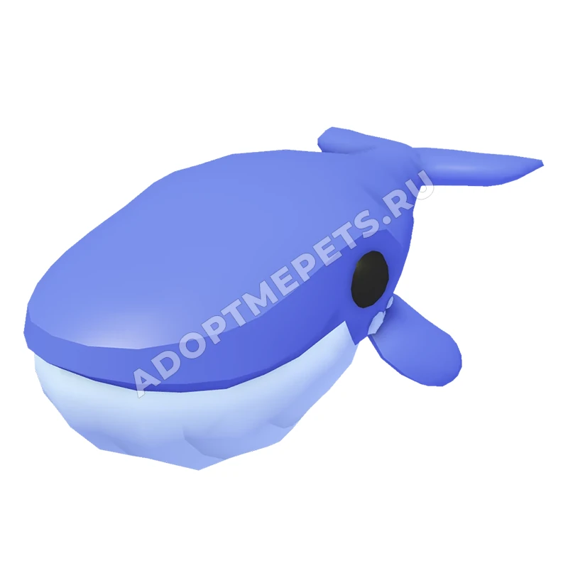 Blue Whale